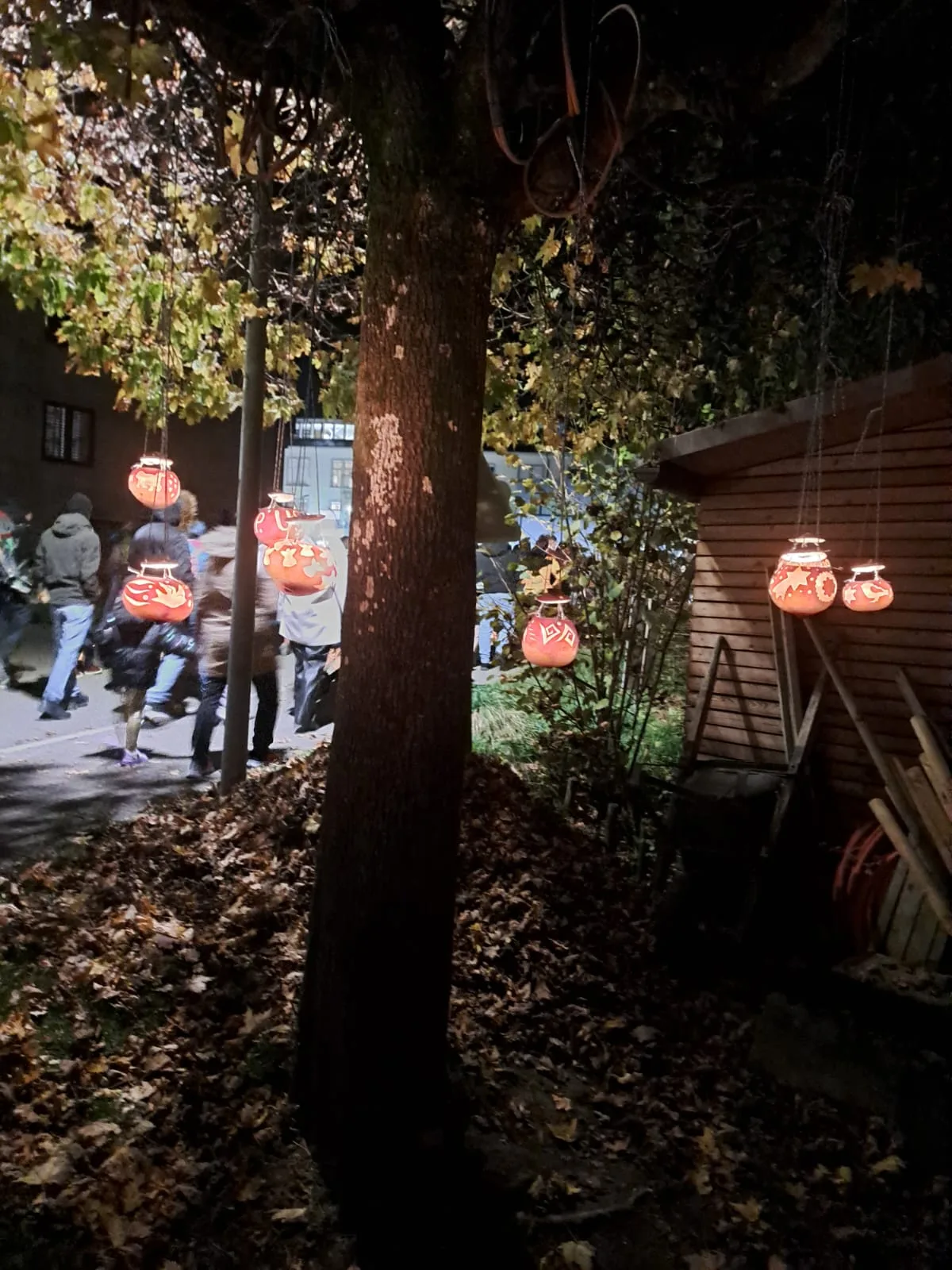 Räben an einem Baum